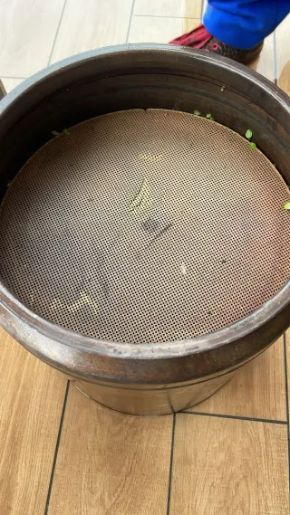 Catalizadores al mejor precio sin intermediarios.