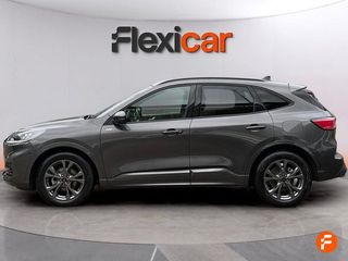 Ford Kuga ST-Line 2.0 EcoBlue 88kW (120CV) Auto