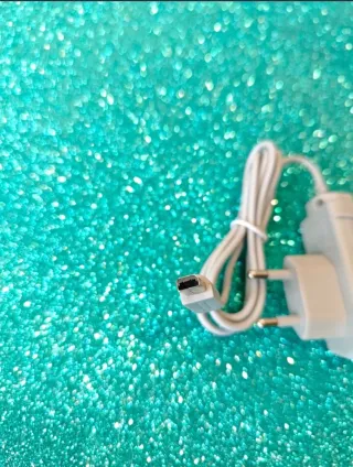 Cargador Nuevo Nintendo DS