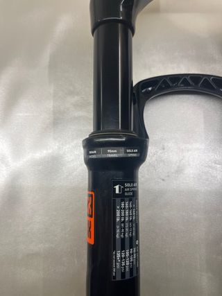 Horquilla RockShox Brain 29 95mm 15x100