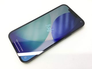 apple iphone 12 pro max 256gb