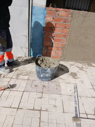 Reformas profesionales