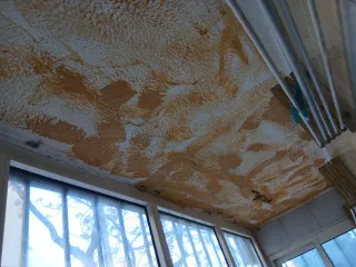 Reformas profesionales