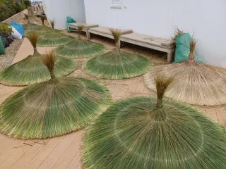 Pérgola de brezo para piscina