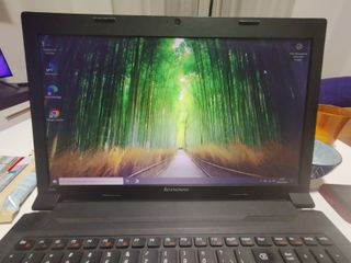Lenovo B590 Portátil Negro
