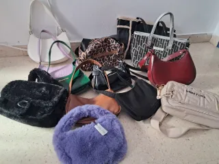 Lote de Bolsos