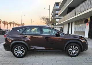 Lexus NX 300h 2016 Executive "ETIQUETA ECO"