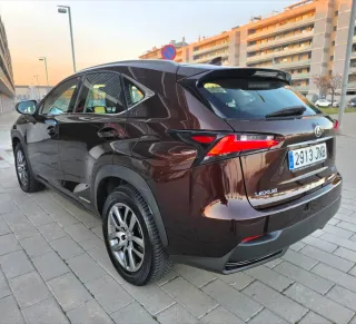 Lexus NX 300h 2016 Executive "ETIQUETA ECO"