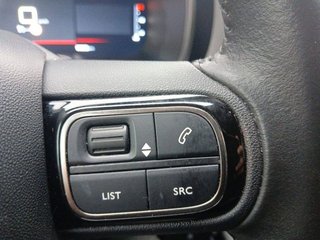 Citroën C5 Aircross  PureTech 96kW (130CV) S&S Live Pack