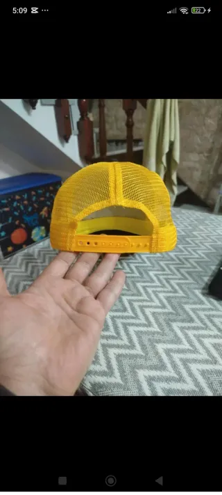 Gorra Dragon Ball Z Goku