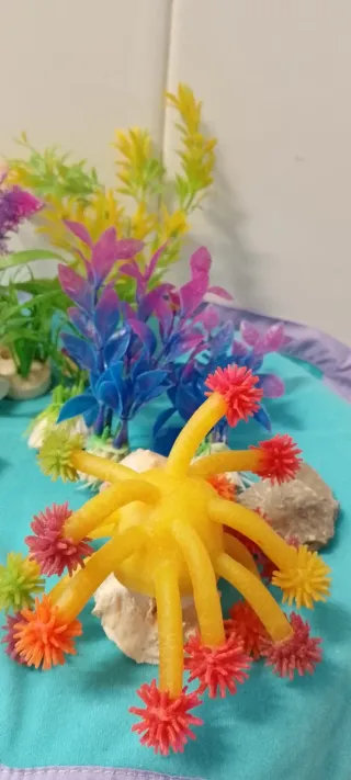 Adornos Acuario Peces Plantas Conchas