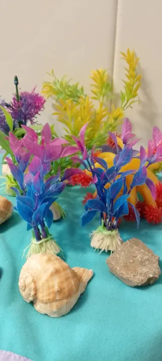 Adornos Acuario Peces Plantas Conchas