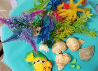 Adornos Acuario Peces Plantas Conchas