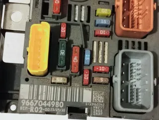 BSM R2 Citroën/Peugeot 9667044980