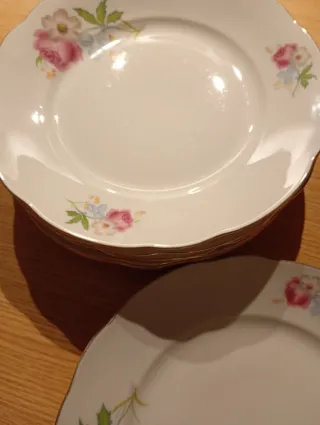 6 piatti porcellana disegno floreale vintage