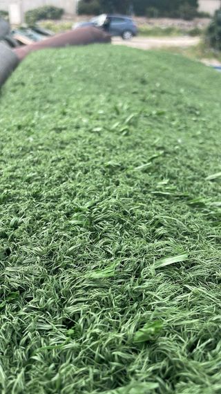 Césped Artificial Reciclado