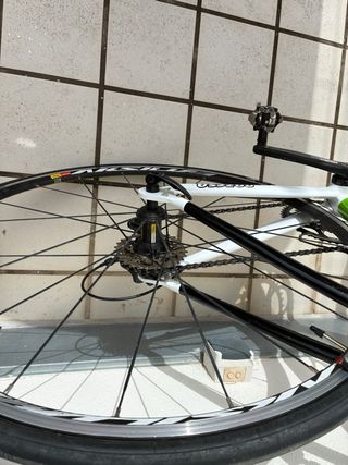 Bici Carretera Razesa Dedacciai 105 Ultegra