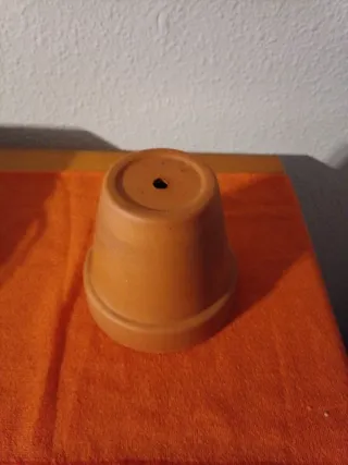 Maceta de terracota