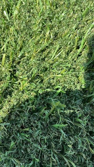 Césped artificial reciclado