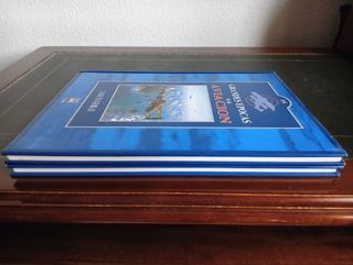 La RAF en guerra I y II