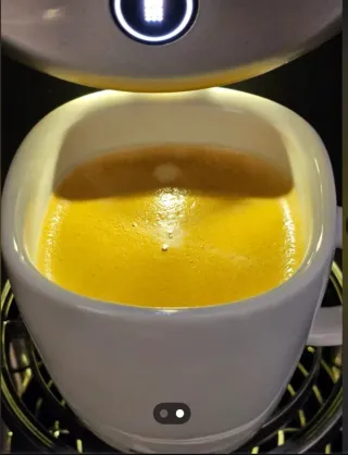 Nespresso Zenius Profesional Zn100