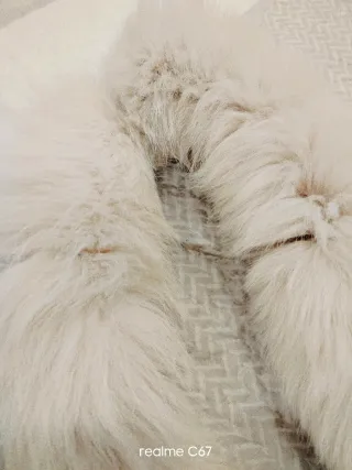 Estola de piel zorro beige y blanca