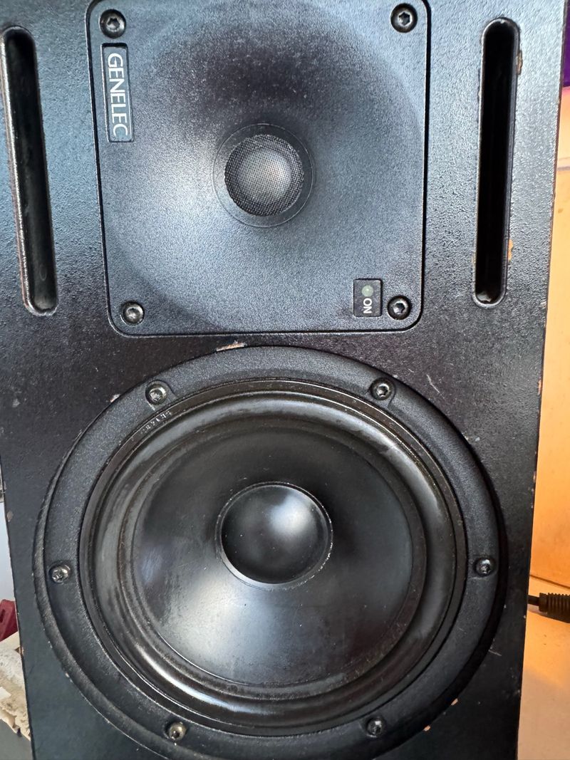 Genelec 1030. Una joya !