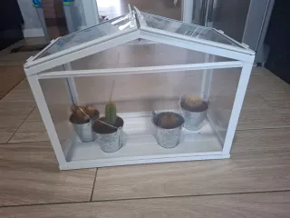 Mini invernadero decorativo cristal y metal