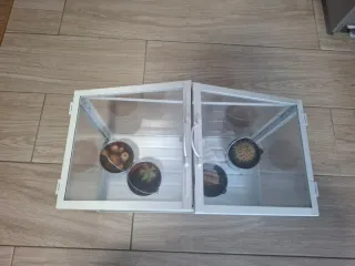 Mini invernadero decorativo cristal y metal