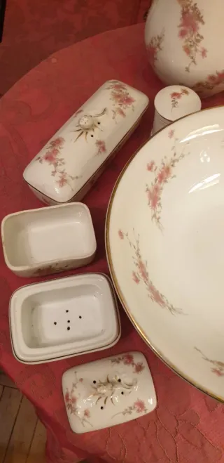 Prezioso set di porcellana antica con delicato disegno floreale