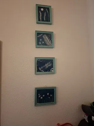 Set 4 Cuadros Decorativos Botánicos