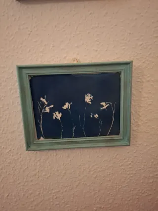 Set 4 Cuadros Decorativos Botánicos