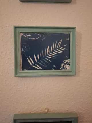 Set 4 Cuadros Decorativos Botánicos