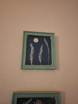 Set 4 Cuadros Decorativos Botánicos