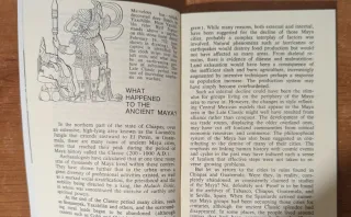 The Maya World.  Demetrio Sodi Morales