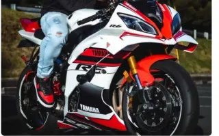 Alerón Yamaha R6 (2012-2016)