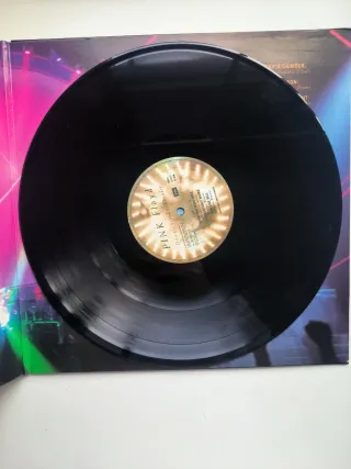 Vinilo Pink Floyd Delicate Sound of Thunder