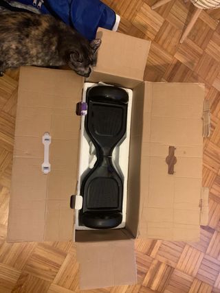 Hoverboard RoverDroid ST1720 Negro