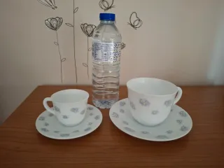 Juego de 5 tazas de café de porcelana