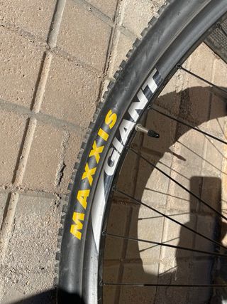 Bicicleta Montaña Giant Talon 29er