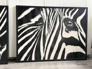 2 Láminas Cebra Marco Ikea