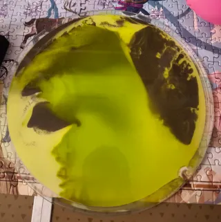 Lámpara de arena cinética verde