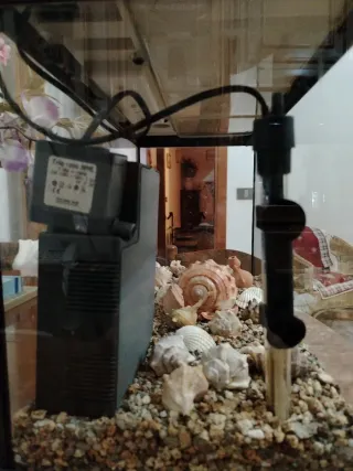 Acquario nero con accessori