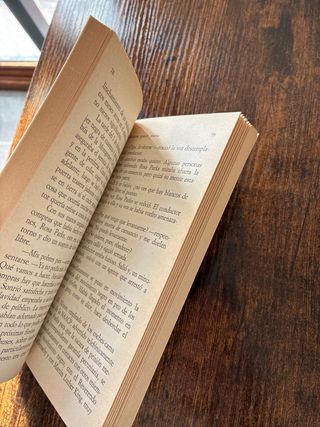 Libro de Martin Luther King - Rebelde por Amor