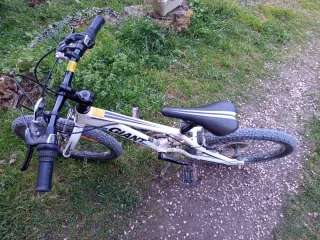 Bicicleta Infantil Giant XTC 5 a 8 años.