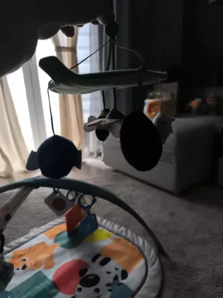 Baby Einstein Kickin Tapete 4 Etapas