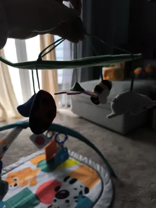 Baby Einstein Kickin Tapete 4 Etapas