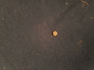 Sofá de 2 plazas azul.