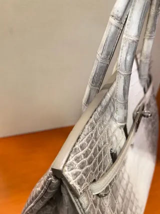 Hermès Birkin Himalaya Bianco Coccodrillo