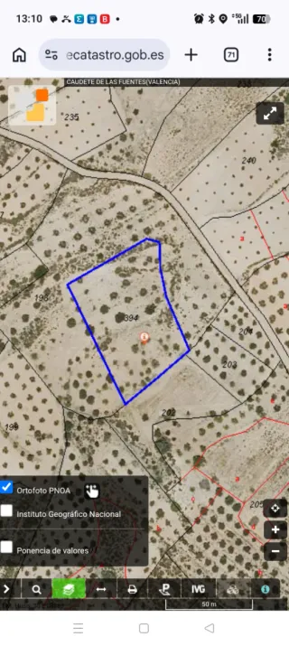 Terreno Olivos y Almendros en Caudete Fuentes